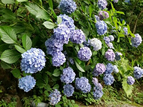 rblog-20150705152657-03.jpg