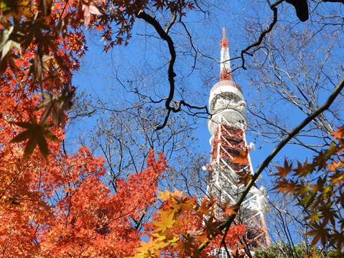 芝公園＆東京タワー