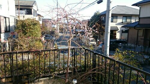 rblog-20170227164753-00.jpg