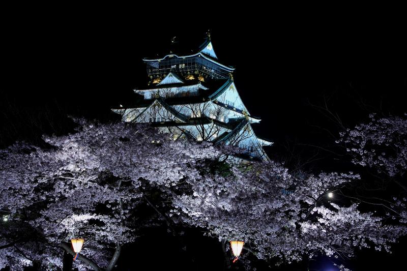 大阪城西の丸庭園夜桜_5-2.jpg