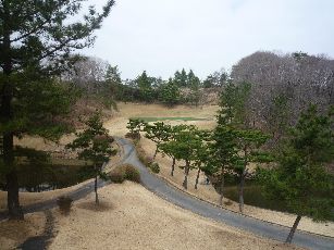 P1090003.JPG