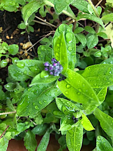 rblog-20190401164110-07.jpg