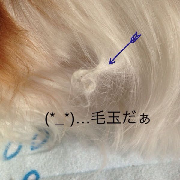 rblog-20151128114000-02.jpg