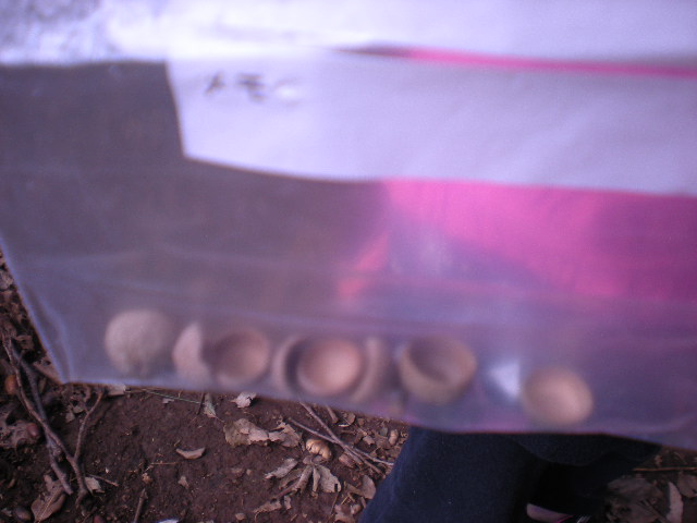 DSCN0956.JPG