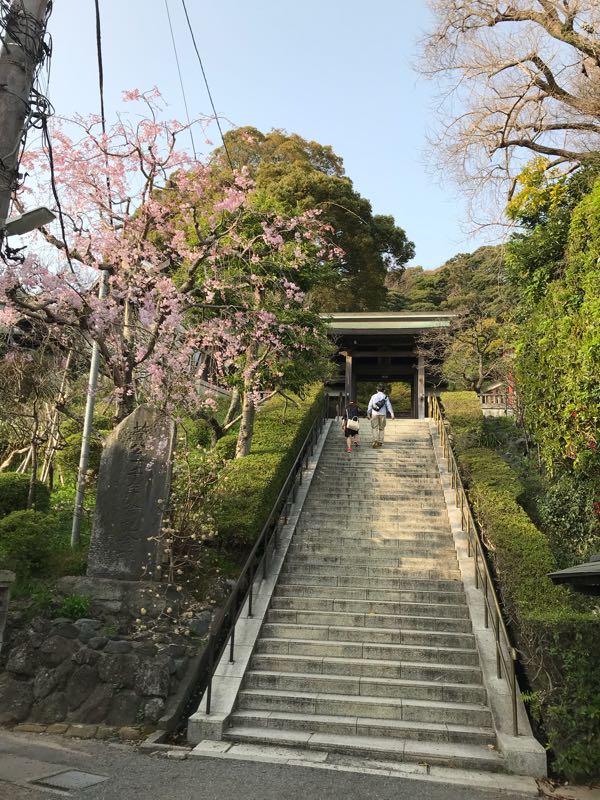 rblog-20180329185812-08.jpg