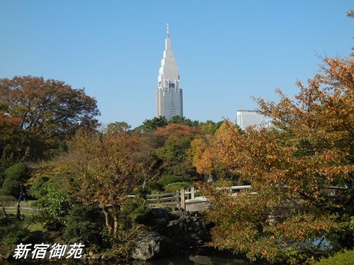 新宿御苑