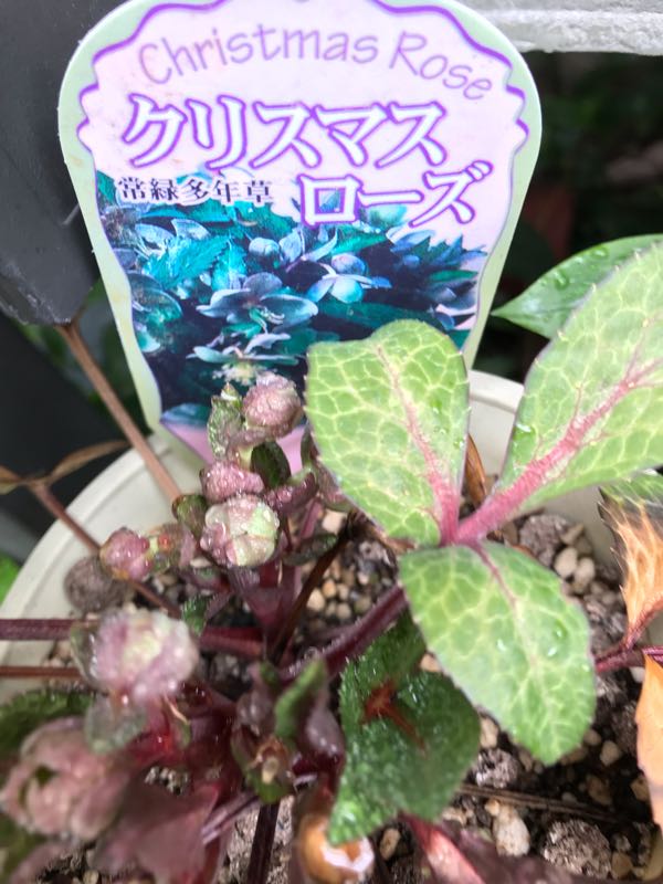 rblog-20190426180748-09.jpg