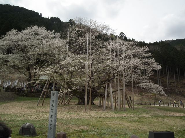 DSCF3722.JPG