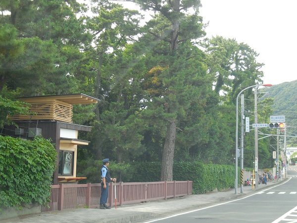 DSCN7869.jpg