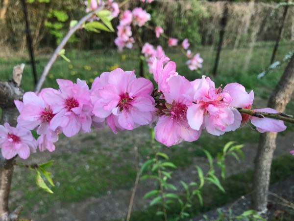 rblog-20180408180729-08.jpg