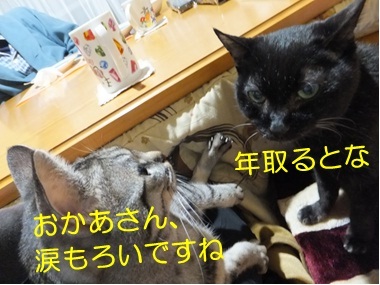 20121122_2.jpg