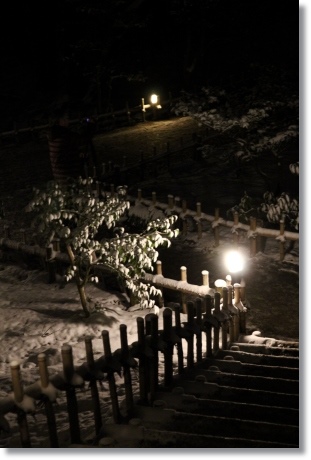 兼六園ライトアップ　・冬の段-14 14.2.4