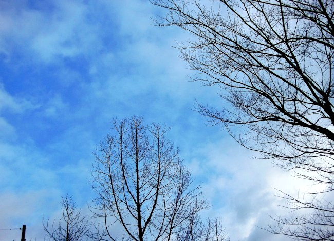 空