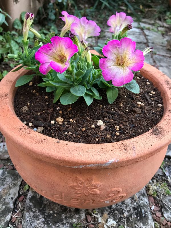 rblog-20190324174020-09.jpg