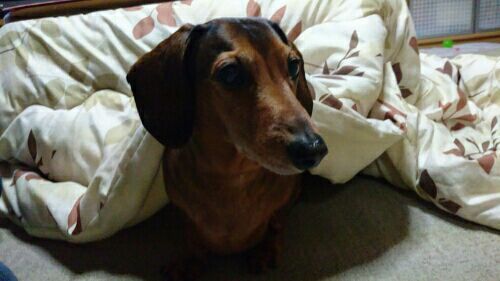 rblog-20170113195741-02.jpg