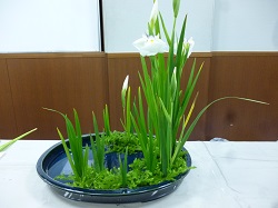 0614syoutakunokei