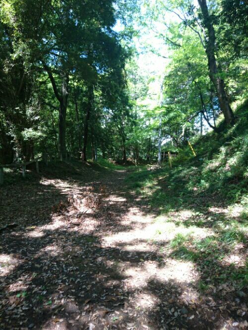 rblog-20180608235811-04.jpg