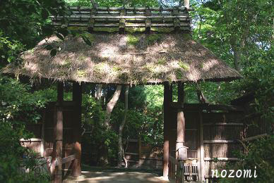 祗王寺