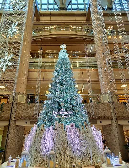 Xmas 横浜クリスマスイルミネーション ぼのぼの 楽天ブログ