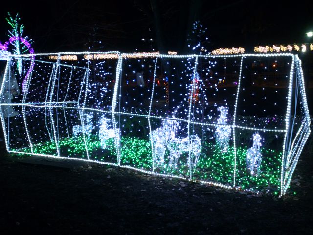 2012-12-13 18.59.03.jpg