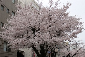 IMG_8193-2.jpg