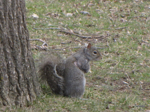 IMG_3105.JPG