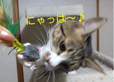 20121114_8.jpg