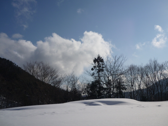 雪空.JPG