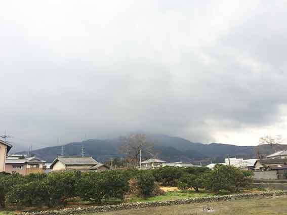 高越山2016/1/23-3♪