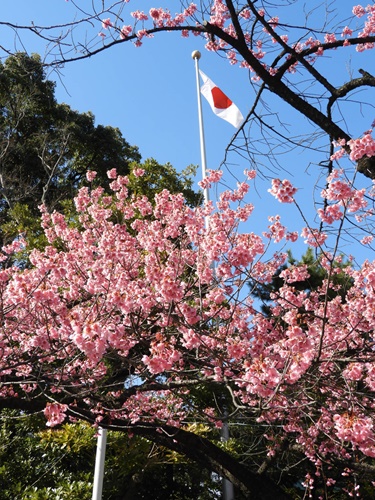 荏原神社にて