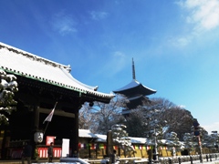 P1010089.JPG