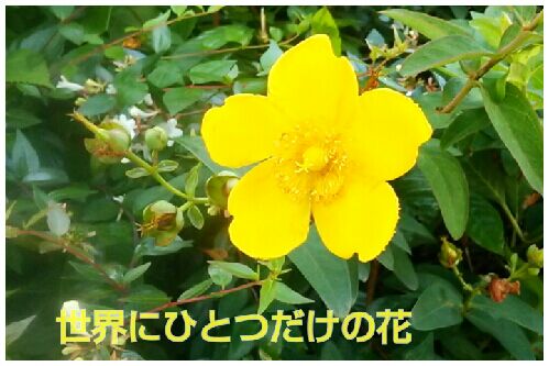 rblog-20160702180335-00.jpg