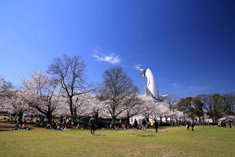 万博記念公園_009下の広場.jpg