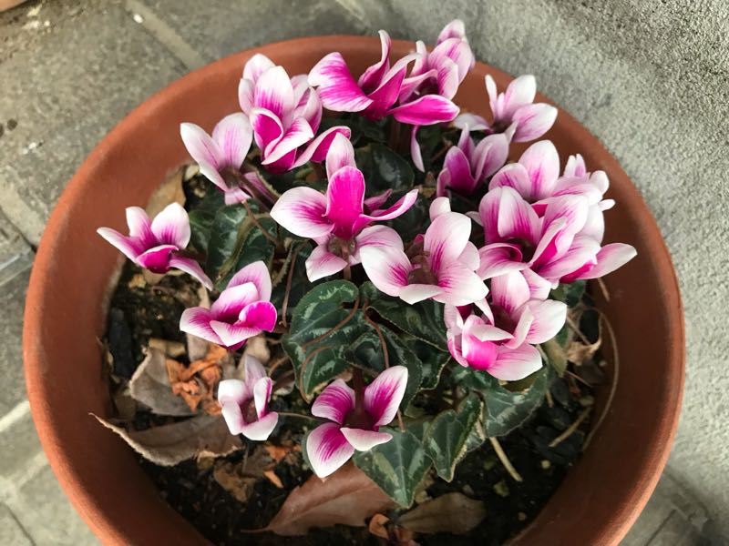 rblog-20190324174746-02.jpg