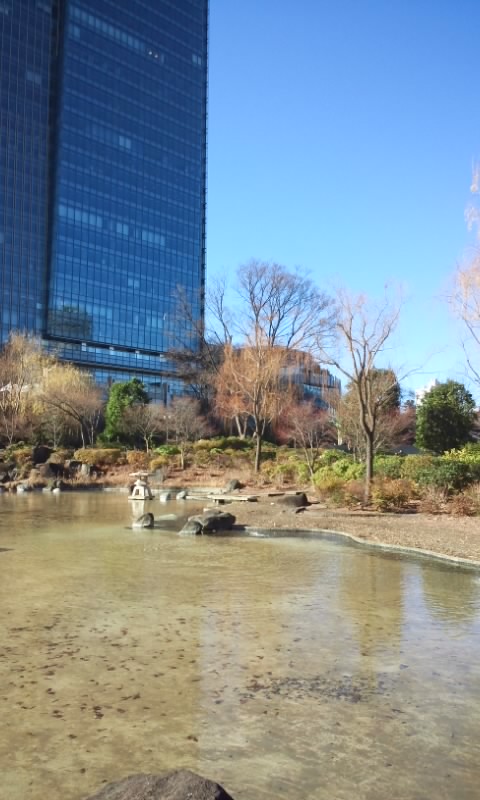 151220_1041~01 檜町公園.jpg