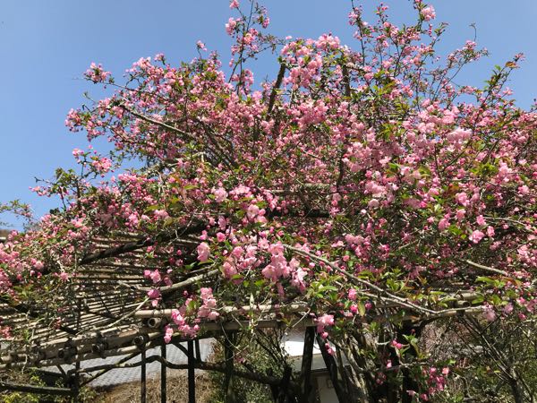 rblog-20180329182739-09.jpg