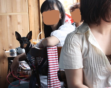ひめ3.jpg