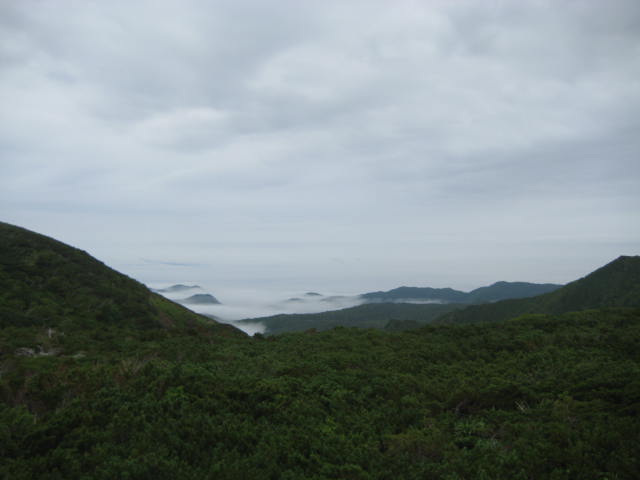 IMG_2297.JPG