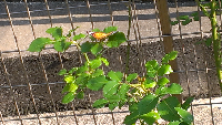 rblog-20130526163611-01.png
