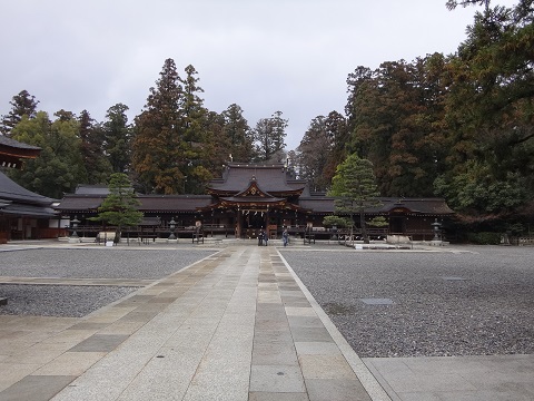 DSC08493.JPG