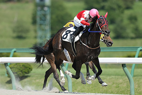 150924-009イトシイコイビト.jpg