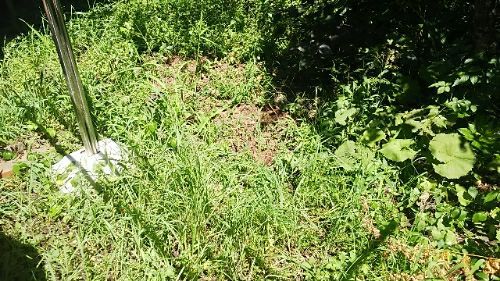 rblog-20180827074256-01.jpg