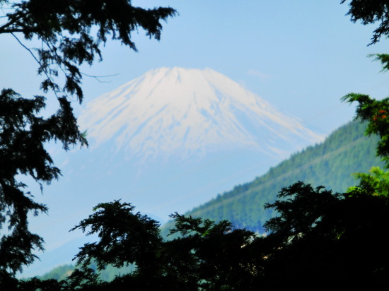 大山トレッキング　20150427　快晴　で　綺麗に富士山も見えました。　ね綺麗でしょ！！。