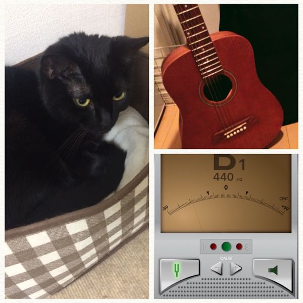 ギター初心者 黒猫本舗 楽天ブログ