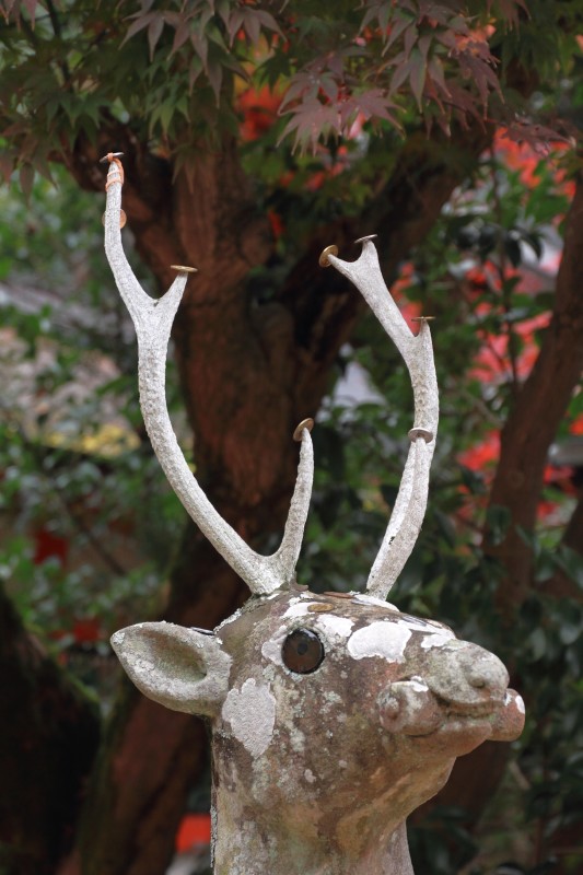 大原野神社_004.jpg