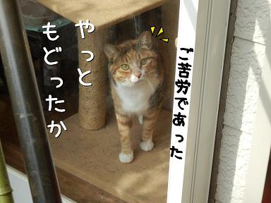 ご苦労.JPG