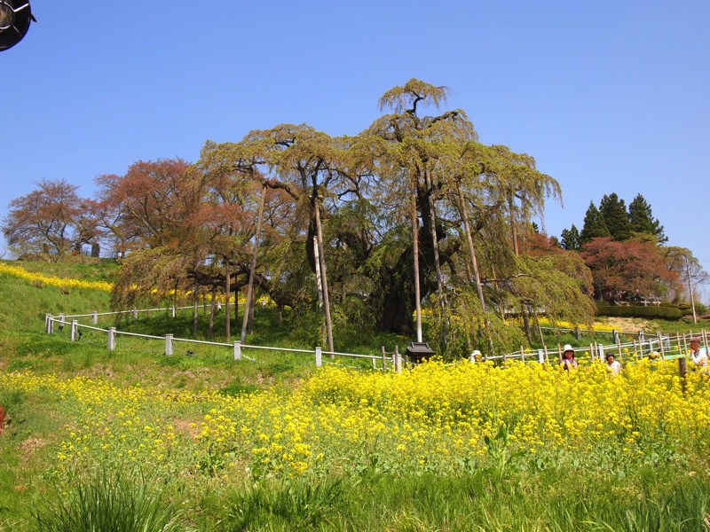 P4242915.jpg