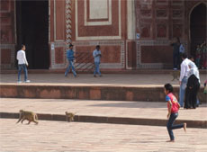 インド348.jpg
