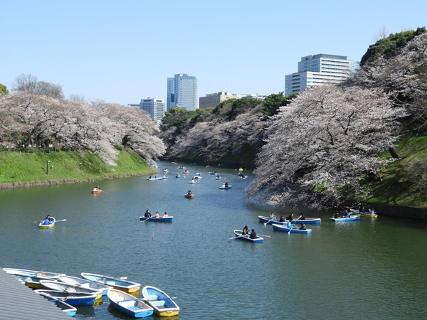 千鳥ヶ淵緑道