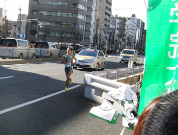 012.gif